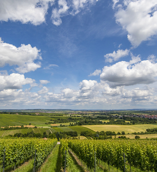 3B-Land: Zabergäu-Tour | © SMG, Achim Mende