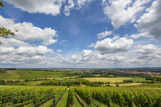 3B-Land: Zabergäu-Tour | © SMG, Achim Mende