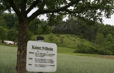 5-Täler-Tour | © Stadt Bad Mergentheim
