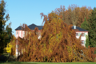A1 - Panoramaweg Angelbachtal | © Land der 1000 Hügel - Kraichgau-Stromberg