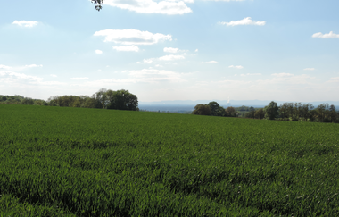 A1 - Panoramaweg Angelbachtal | © Land der 1000 Hügel - Kraichgau-Stromberg