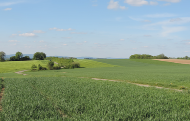 A1 - Panoramaweg Angelbachtal | © Land der 1000 Hügel - Kraichgau-Stromberg