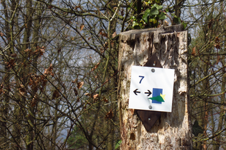 Am Blumenband entlang nach Diefenbach | © Land der 1000 Hügel - Kraichgau-Stromberg