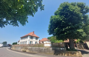Bild von einem Baum in einem Hof | © Gemeinde Helmstadt-Bargen
