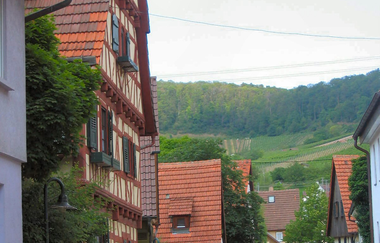 Bartenberg-Rundweg | © Land der 1000 Hügel - Kraichgau-Stromberg