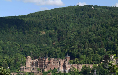 Bergsträßer Blütenweg - Etappe 5: von Schriesheim nach Heidelberg