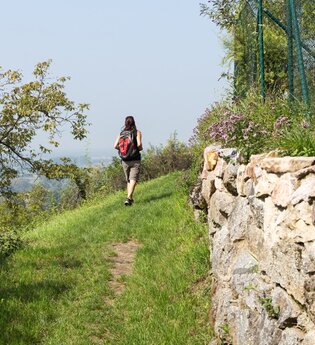 Eine Frau wandert auf einem grasbewachsend Pfad auf dem Blütenweg vorbei an einer Natursteinmauer | © Roland Robra