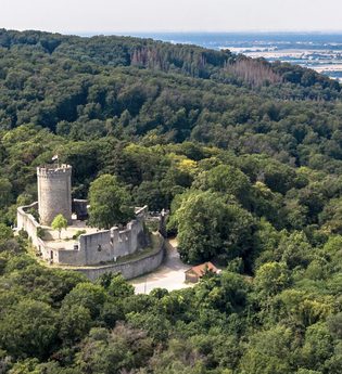 Luftaufnahme vom Auerbacher Schloss | © Thomas Fischer