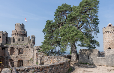 Ein Baum wächst inmitten der Burgmauern. | © Thomas Neu