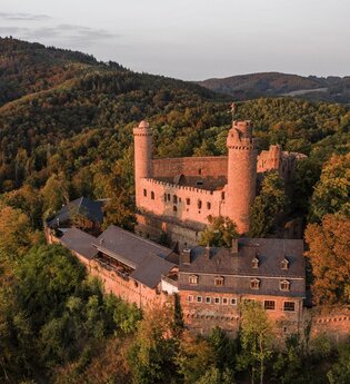 Bergsträßer Burgensteig - Etappe 3: von Bensheim-Auerbach nach Heppenheim | © Thomas Fischer