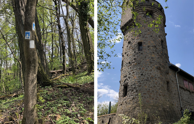 Bergsträßer Burgensteig - Etappe 3: von Bensheim-Auerbach nach Heppenheim | © Bettina Gessinger
