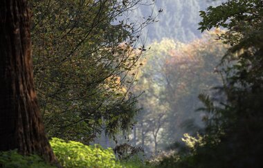 Bergsträßer Burgensteig - Etappe 5: von Hemsbach nach Weinheim | © Sven Sasse Roesch
