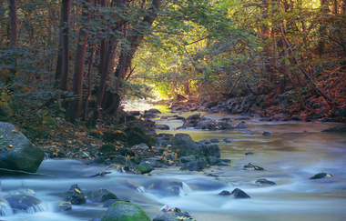 Bergsträßer Burgensteig - Etappe 5: von Hemsbach nach Weinheim | © Sven Sasse Roesch