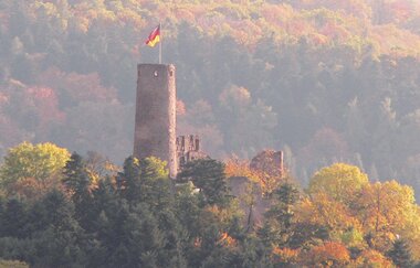 Bergsträßer Burgensteig - Etappe 6: von Weinheim nach Hirschberg-Großsachsen | © TSB