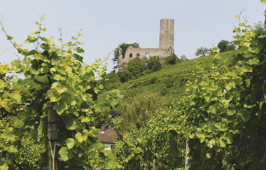 Bergsträßer Burgensteig - Etappe 7: von Hirschberg-Großsachsen nach Schriesheim | © Ludwig Maerz