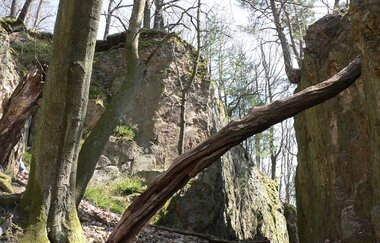 Bergsträßer Burgensteig - Etappe 8: von Schriesheim nach Dossenheim | © Roland Robra