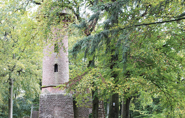 Bergsträßer Burgensteig - Etappe 9: von Dossenheim nach Heidelberg | © TSB