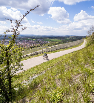 Bikepacking-Overnighter: Gravelbike-Tour von Heidelberg nach Pforzheim - Etappe 1 (Heidelberg - Eppingen) | © Land der 1000 Hügel - Kraichgau-Stromberg