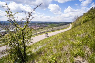 Bikepacking-Overnighter: Gravelbike-Tour von Heidelberg nach Pforzheim - Etappe 1 (Heidelberg - Eppingen) | © Land der 1000 Hügel - Kraichgau-Stromberg