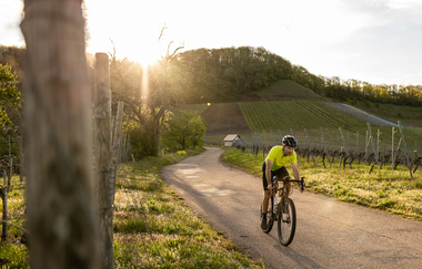 Bikepacking-Overnighter: Gravelbike-Tour von Heidelberg nach Pforzheim - Etappe 2 (Eppingen - Pforzheim) | © Land der 1000 Hügel - Kraichgau-Stromberg