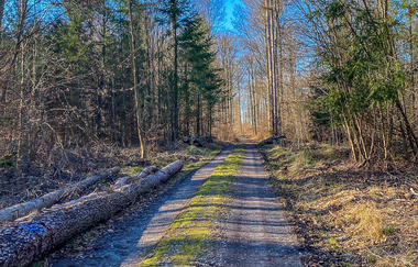 Bikepacking-Overnighter: Gravelbike-Tour von Karlsruhe nach Heilbronn - Etappe 1 (Karlsruhe - Vaihingen a. d. Enz) | © Land der 1000 Hügel - Kraichgau-Stromberg