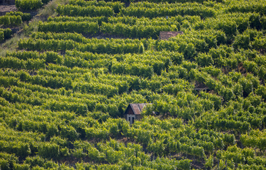 Bikepacking-Overnighter: Gravelbike-Tour von Karlsruhe nach Heilbronn - Etappe 2 (Vaihingen a. d.  Enz - Heilbronn) | © Achim Mende
