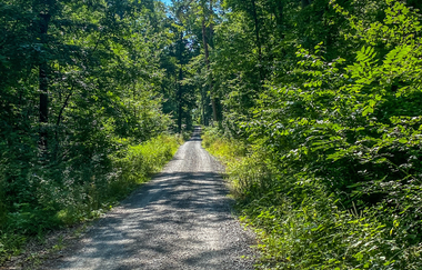 Bikepacking-Overnighter: Gravelbike-Tour von Mannheim nach Stuttgart –  Etappe 2 (Sulzfeld - Stuttgart) | © Land der 1000 Hügel - Kraichgau-Stromberg
