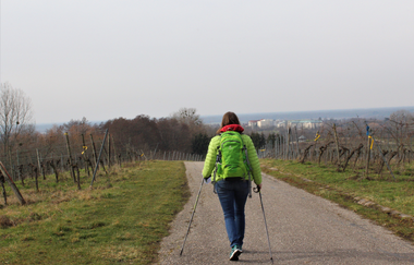 Bössinger Wald-Trail | © Unbekannt