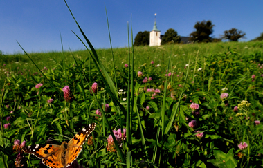 BR1 - Drachenrundweg auf dem Michaelsberg