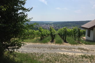 BR12 - Obergrombacher Burgweg | © BTMV GmbH