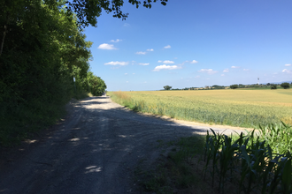 BR3 - Rundwanderweg Eichelberg | © BTMV GmbH