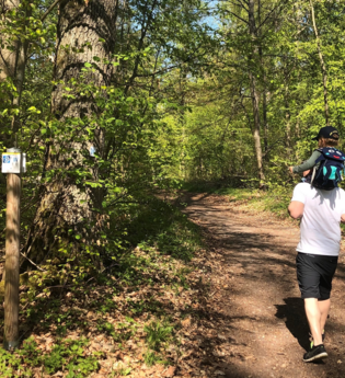 BR8 - Heidelsheim "Wald und Flur"