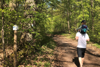 BR8 - Heidelsheim "Wald und Flur"