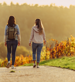 BR9 - Heidelsheim „Laubige Eiche“ – Verbindungsweg zu den Mammutbäumen