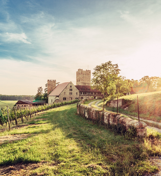 Burg Neipperg | Brackenheim im HeilbronnerLand | © Christian Frumolt | Touristikgemeinschaft HeilbronnerLand e.V.