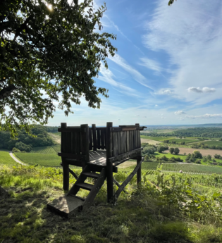 Brackenheim Rundtour | © Stadt Brackenheim