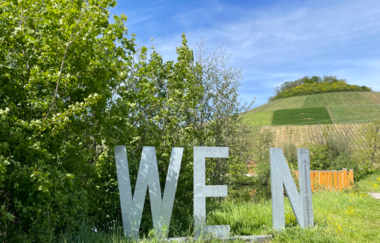 Brackenheim Rundtour | © Stadt Brackenheim