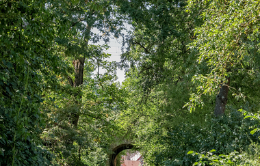Bauerbacher Hohlwege | © Thomas Rebel für Stadt Bretten