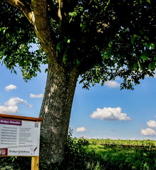Bretten/Büchig - Büchiger Gedichteweg | © Stadt Bretten