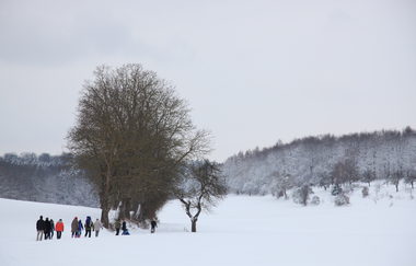 Bretten/Diedelsheim: Buchwald-Rundweg | © Stadtverwaltung Bretten