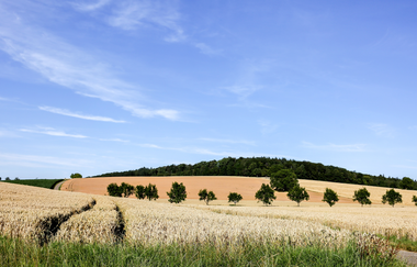 Bretten/Dürrenbüchig: Hügelstürmerwege | © Stadt Bretten