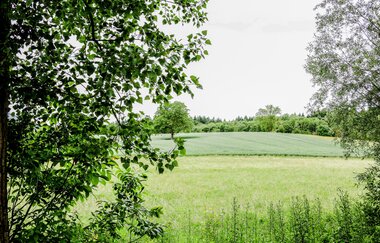 Bretten/Gölshausen: Blicklesweg | © Stadtverwaltung Bretten