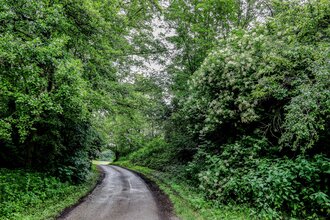 Bretten/Gölshausen: Fitness-Trail | © Stadtverwaltung Bretten