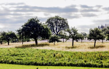 Bretten/Gölshausen: Fitness-Trail | © Stadtverwaltung Bretten