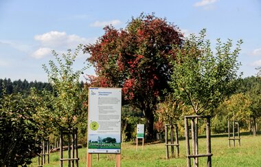 Bretten/Gölshausen: Streuobstwiesenpfad | © Stadtverwaltung Bretten