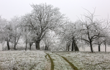 Bretten/Gölshausen: Streuobstwiesenpfad | © Stadtverwaltung Bretten