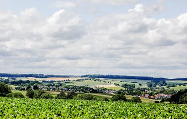 Bretten: Hans-Entenkopf-Weg | © Stadt Bretten