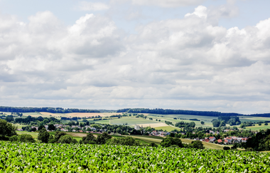Bretten: Hans-Entenkopf-Weg | © Stadt Bretten