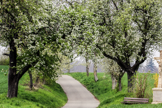 Bretten/Neibsheim: Wegkreuze und Bildstöcke | © Stadt Bretten