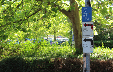 Brettwald-Trail | © Unbekannt